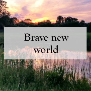 0026 - Brave new world