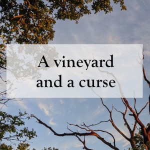 0030 - A vineyard and a curse