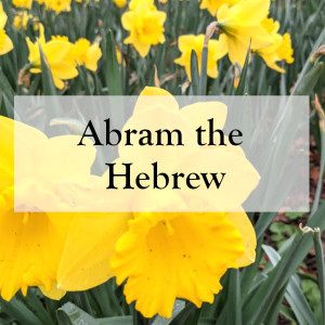 0045 - Abram the Hebrew