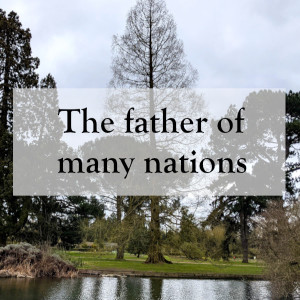 0051 - A father of many nations