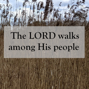 0054 -The LORD walks among His people