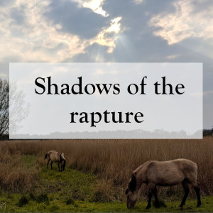0058 - Shadows of the rapture