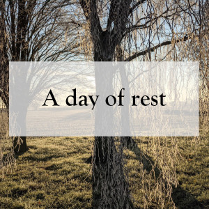 0006 - A day of rest