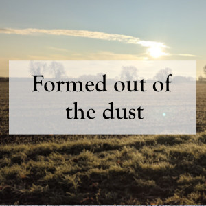 0007 - Formed out of the dust