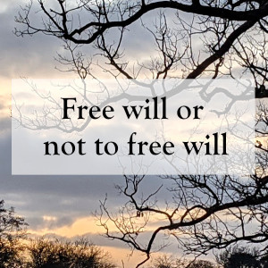 0009 - Free will or not to free will
