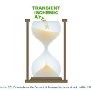 WSA June 2023 Paper of The Month - Interview to Dr. Clay Johnston - The evolving conceptualization of TIAs: time to tame the bull?