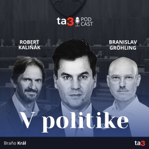 ta3 podcast V politike: Cesta k slobode a demokracii. Kto je zodpovedný za policajnú brutalitu