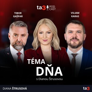 ta3 podcast Téma dňa: Mimovládky za okresanej rozpravy. Búrka pre transakčnú daň