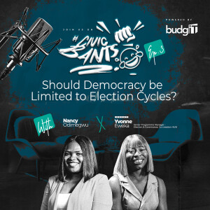 Should Democracy be Limited to Election Cycles?