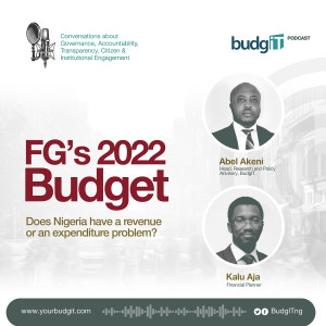 FG’s 2022 Budget: Does Nigeria have a revenue or an expenditure problem?