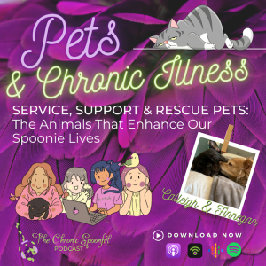 Pets & Chronic Illness: The Service, Support, and Rescue Pets That Enhance Our Spoonie Lives