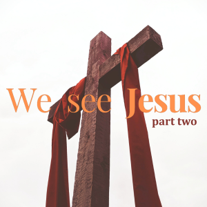 Pastor John Ahern - We See Jesus (part two)