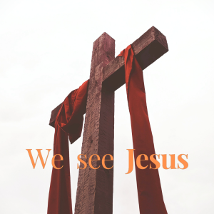 Pastor John Ahern - We See Jesus