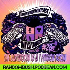 A RandomBush Minicast: Wild Tangents #28 - the Bathroom is a 1 Person room