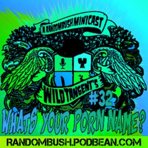 A RandomBush Minicast: Wild Tangents #32 - Whats your Porn name?