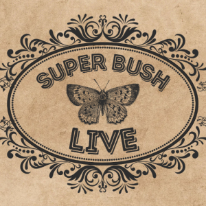 Super Bush News: LIVE! - Snake Meat, Antarctica Job, Heavy Blueberry