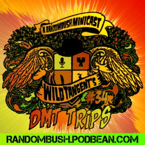 A RandomBush Minicast: Wild Tangents #34 - DMT trips