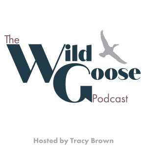 Welcome To The Wild Goose Podcast