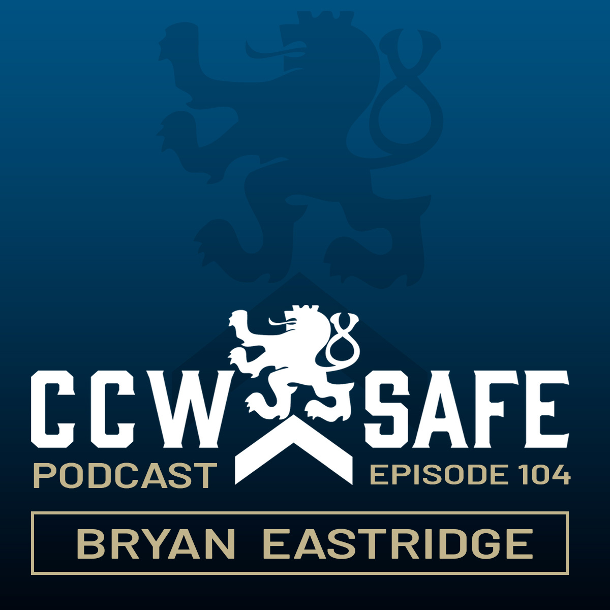 CCW Safe