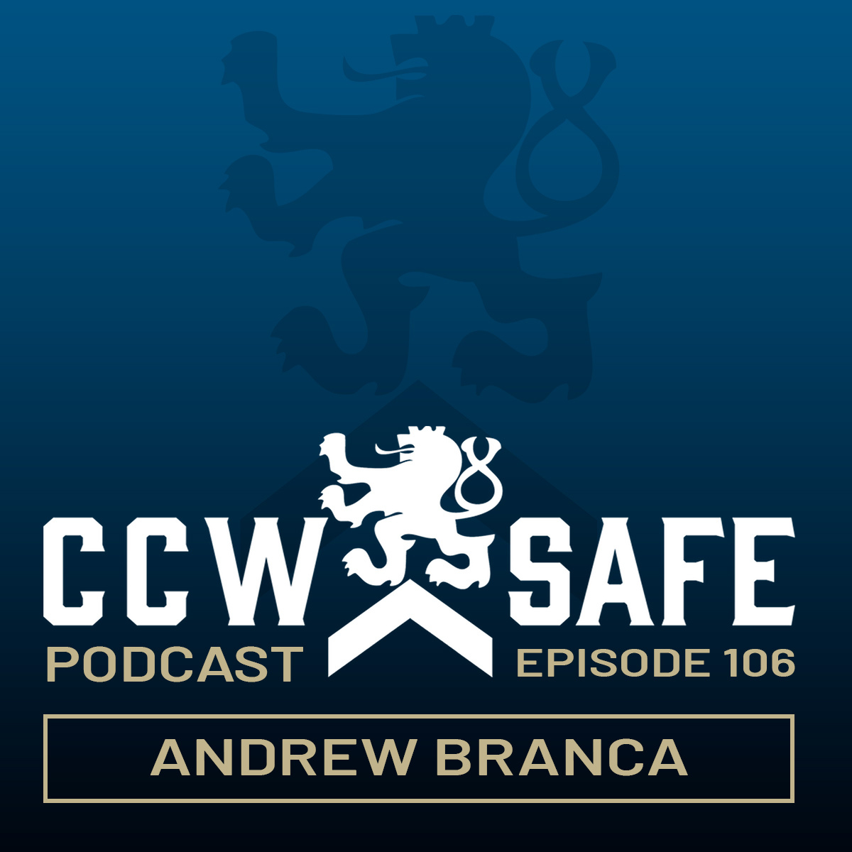 CCW Safe