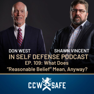 In Self-Defense Podcast 109: What Does “Reasonable Belief” Mean, Anyway?