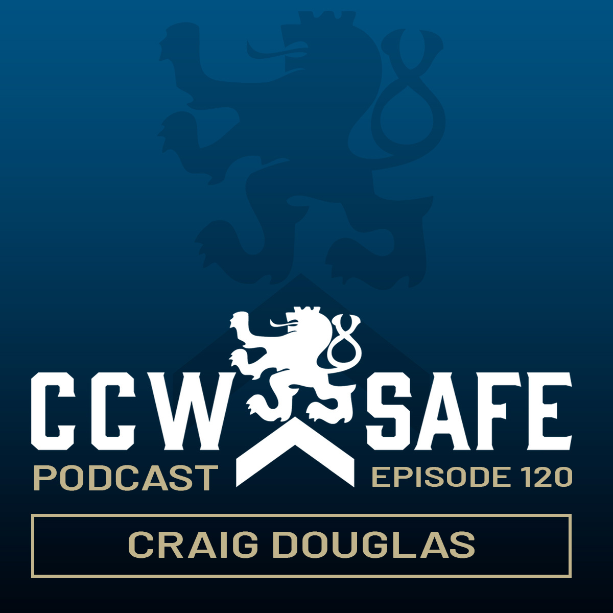 CCW Safe