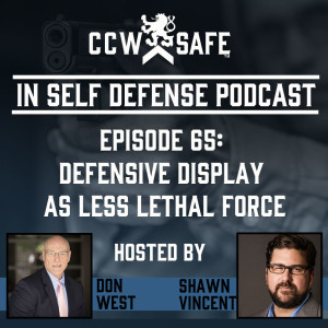 In Self Defense - Episode 65: Defensive Display as Less Lethal Force