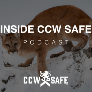 Inside CCW Safe Podcast- Episode 14: Holiday Tips