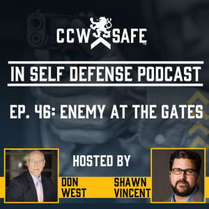 In Self Defense - Episode 46: Enemy at the Gates