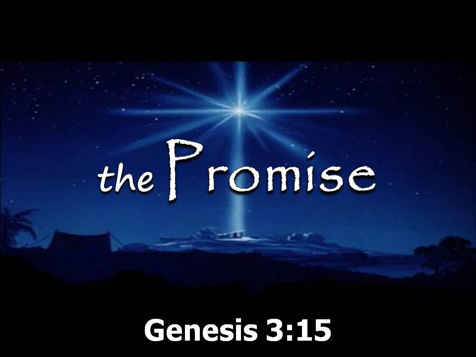 The Promise - Christmas 2016