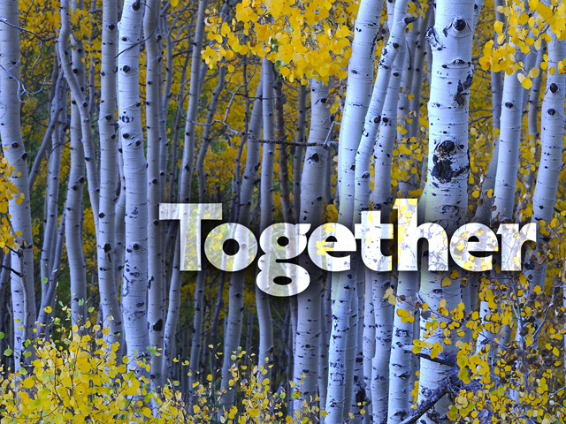Together - Part 1 - Ephesians 4