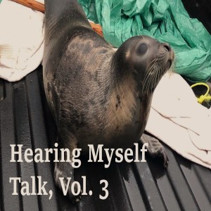 Hearing Myself Talk, Vol. 3