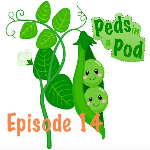 E14S1: Episode 14 Introduction & Case