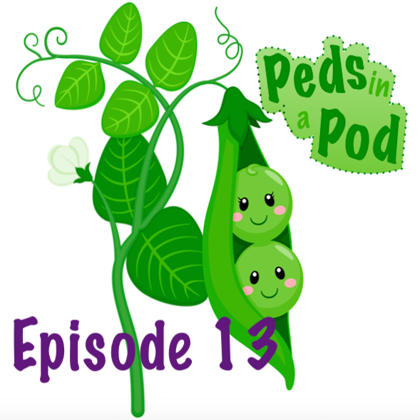 E13S1: Episode 13 Introduction w/ a case!