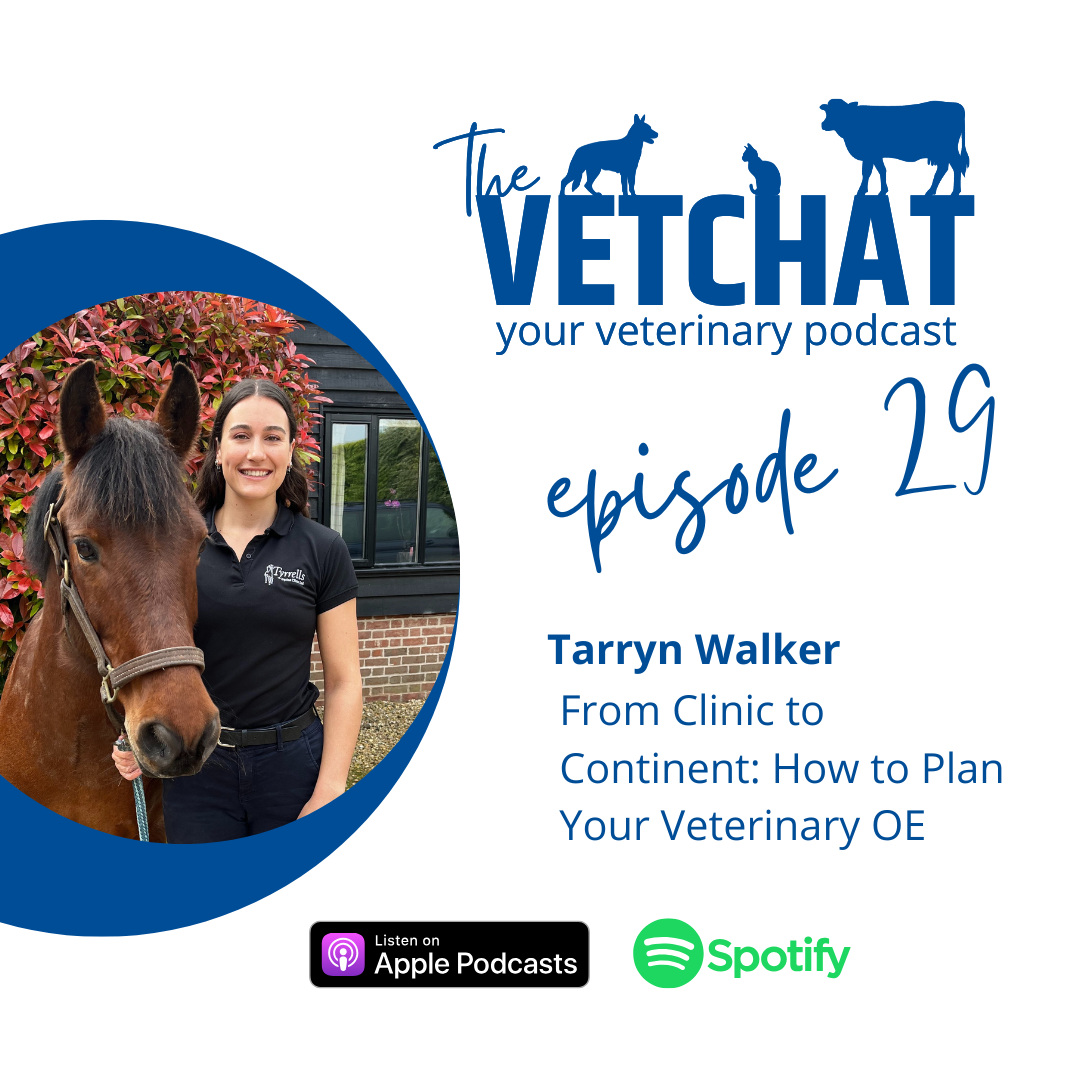 The Vet Chat NZ