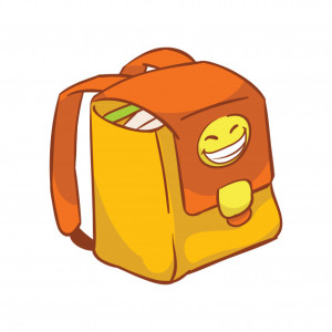 The Orange Bag