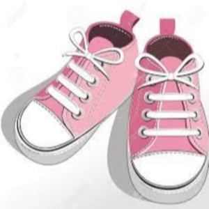 The Pink Shoes