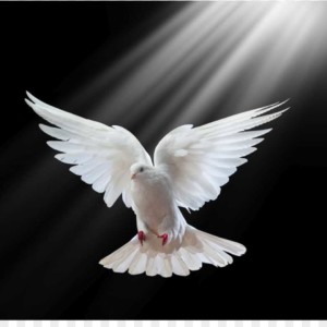 Episode #012 - Blessed are the Peacemakers - Feb 9, 2022 10:55