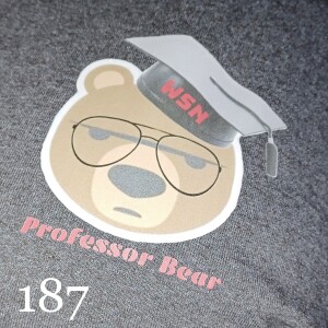 Episode 187: Professor Bear & WSN