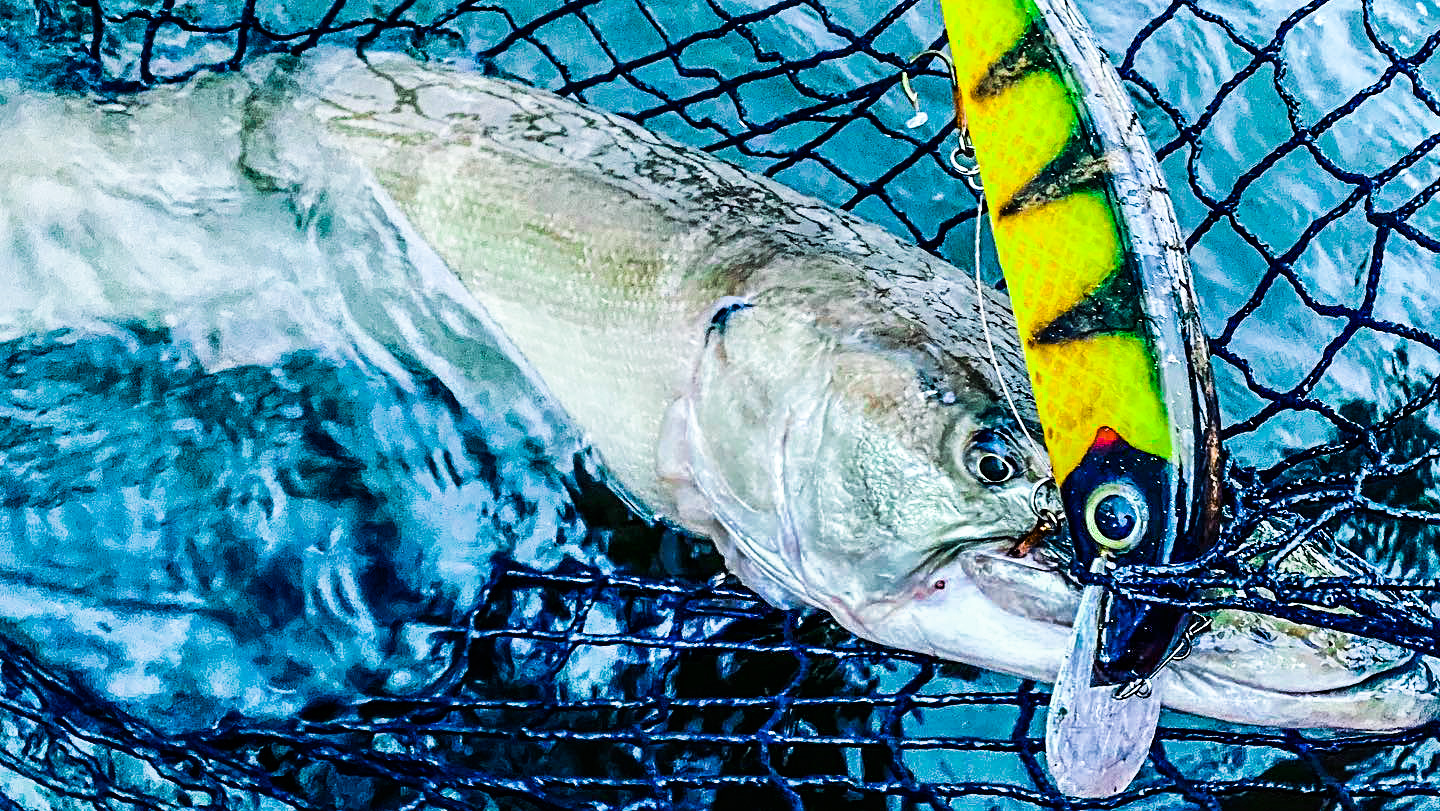 The Muskie Hunks Podcast