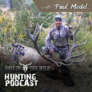 Paul Medel - Calling Unresponsive Elk