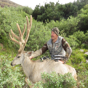 Mule Deer Hunting Brian Strickland
