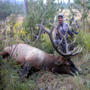 Elk Hunting Scenarios with Paul Medel 11.35