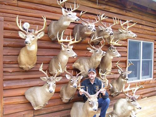 8.1 John Stallone Talks with Master Deer Tracker Hal Blood