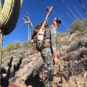 Question and Answer Deer Hunting Arizona 10.44