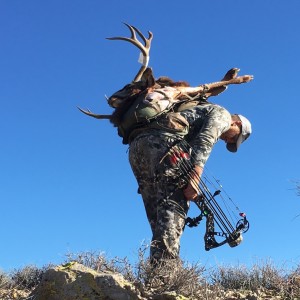 Q & A  Arizona Archery Deer Hunting - What to Expect 