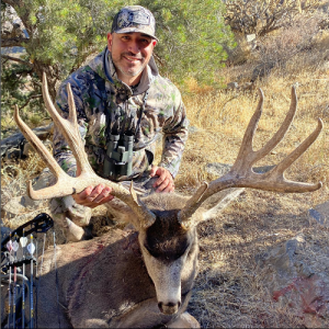 Graylight Hunter Marlon Holden into the mind of a Mule deer hunter