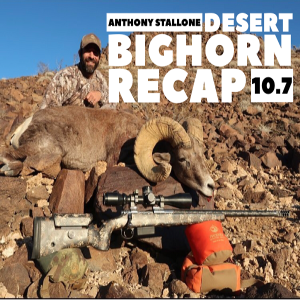 Desert Bighorn Recap With Anthony Stallone 10.7