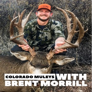 Colorado Muleys with Brent Morrill 10.10