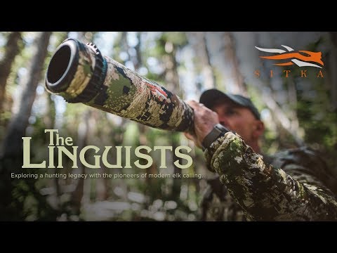 Corey Jacobsen Hunting the Elk Rut , aggressive tactics 8.40